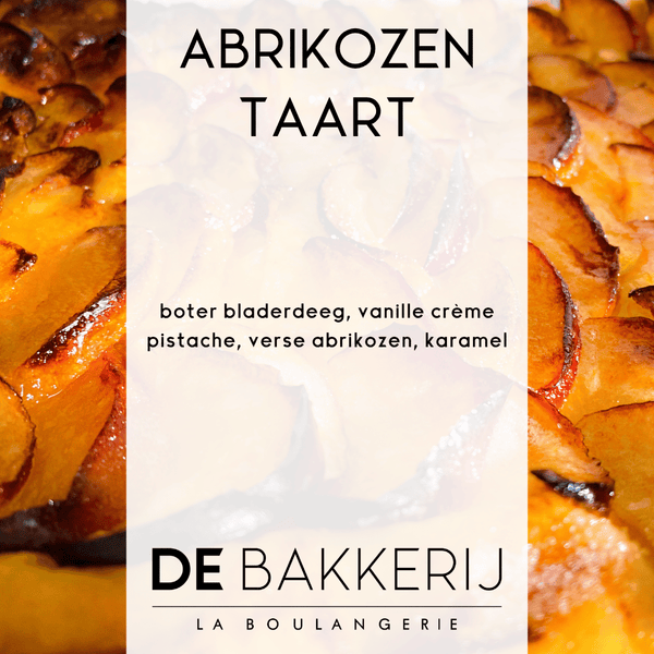 Fijne Abrikozen Taart 5 Pers.